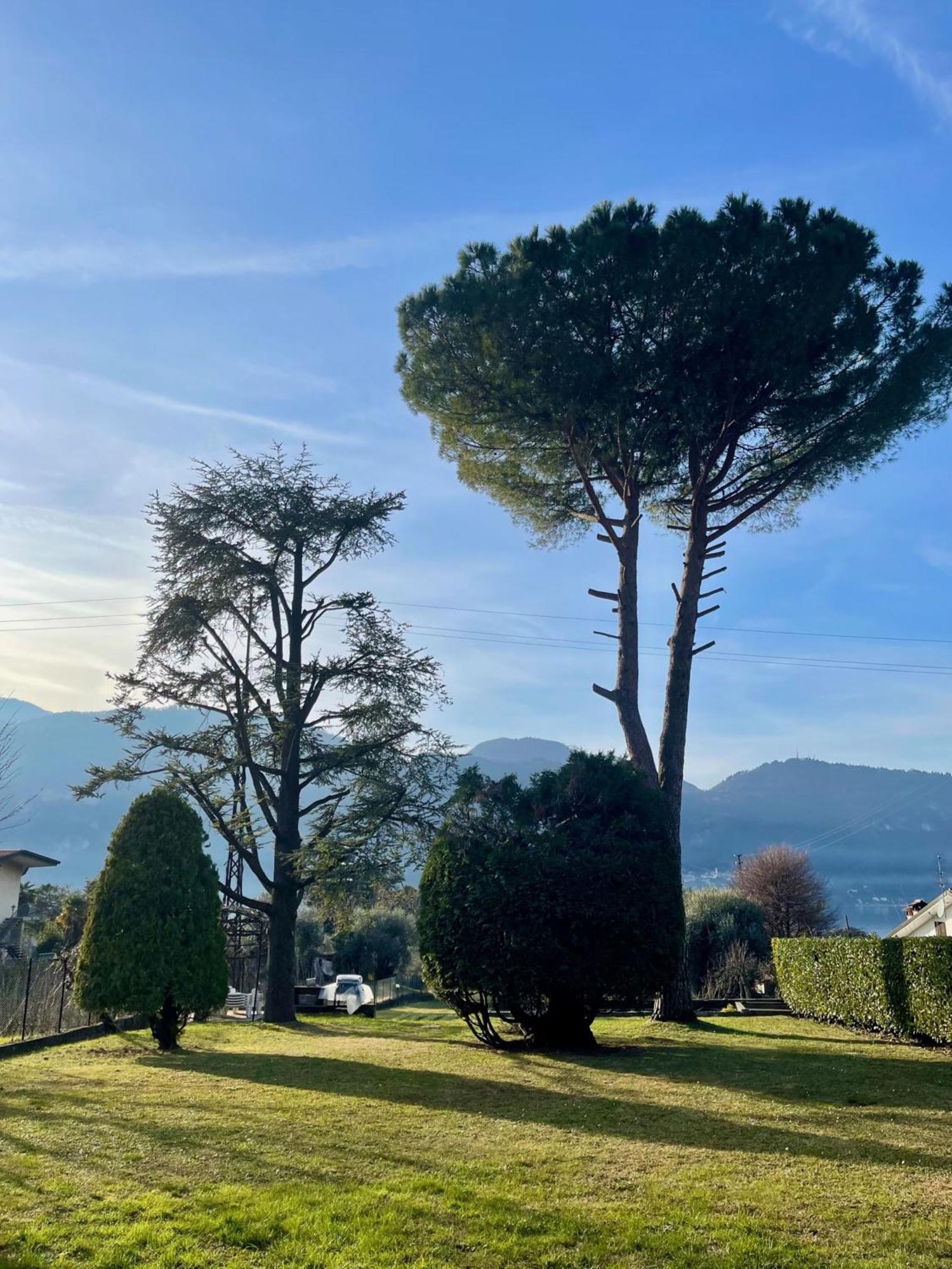 Villa Rosi Lierna Exteriör bild
