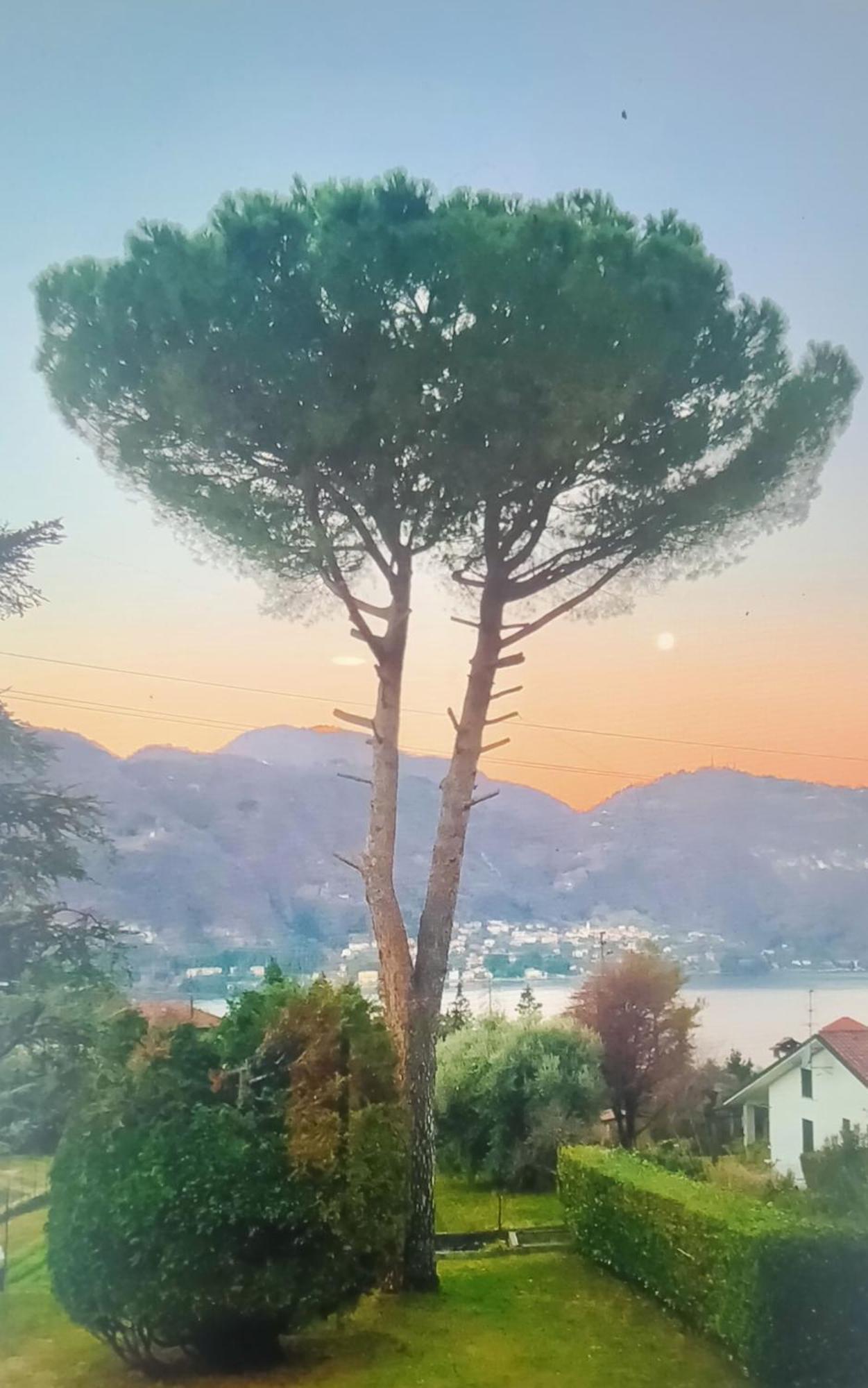 Villa Rosi Lierna Exteriör bild